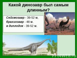 Сейсмозавр - 39-52 м, Сейсмозавр - 39-52 м, брахиозавр - 48 м. и диплодок - 39-5