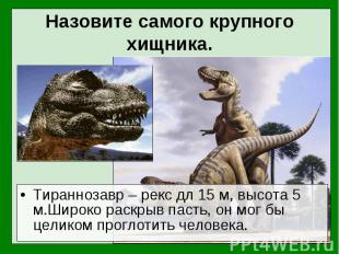 Тираннозавр – рекс дл 15 м, высота 5 м.Широко раскрыв пасть, он мог бы целиком п