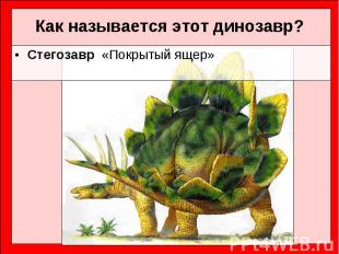 Стегозавр&nbsp; «Покрытый ящер» Стегозавр&nbsp; «Покрытый ящер»
