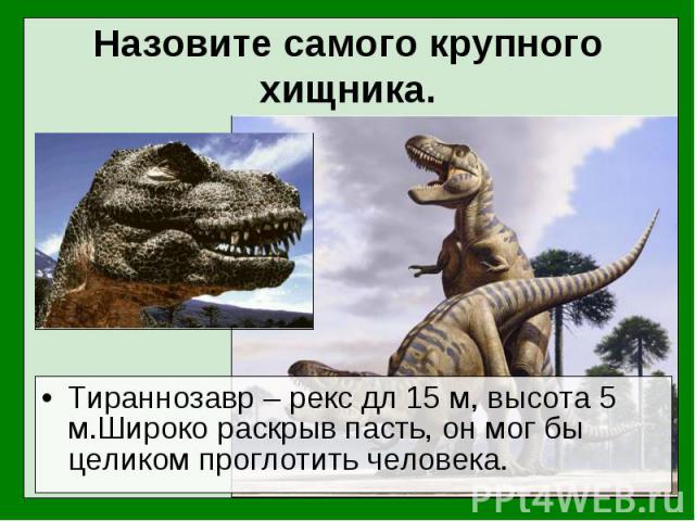 Тираннозавр – рекс дл 15 м, высота 5 м.Широко раскрыв пасть, он мог бы целиком проглотить человека. Тираннозавр – рекс дл 15 м, высота 5 м.Широко раскрыв пасть, он мог бы целиком проглотить человека.