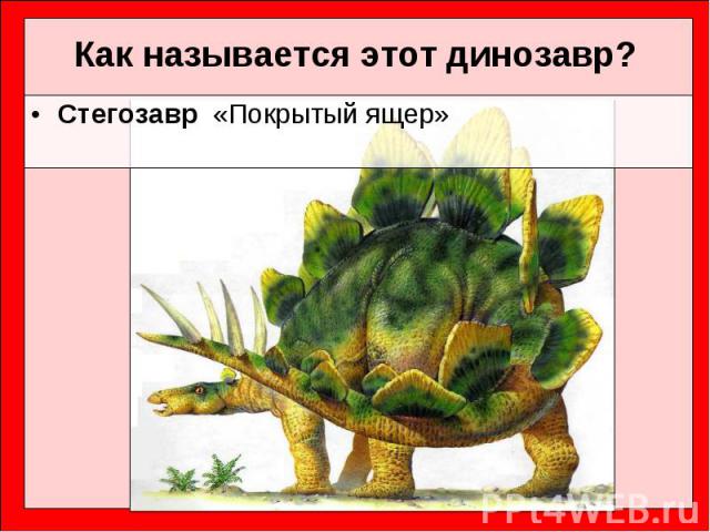 Стегозавр  «Покрытый ящер» Стегозавр  «Покрытый ящер»