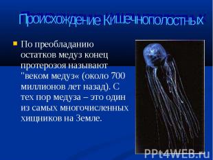 По преобладанию остатков медуз конец протерозоя называют &quot;веком медуз« (око