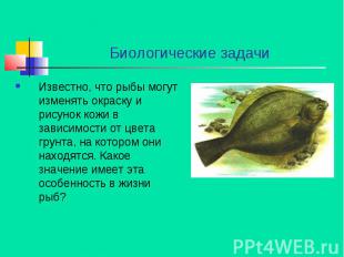 Биологические задачи Известно, что рыбы могут изменять окраску и рисунок кожи в