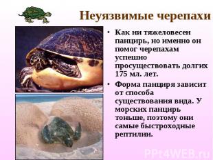 Неуязвимые черепахи Как ни тяжеловесен панцирь, но именно он помог черепахам усп