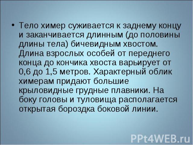 Тело химер суживается к заднему концу и заканчивается длинным (до половины длины тела) бичевидным хвостом. Длина взрослых особей от переднего конца до кончика хвоста варьирует от 0,6 до 1,5 метров. Характерный облик химерам придают большие крыловидн…