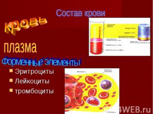 Эритроциты Лейкоциты тромбоциты