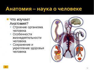 Что изучает Анатомия? Что изучает Анатомия? Строение организма человека Особенно