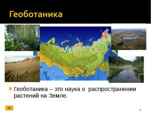 Геоботаника – это наука о распространении растений на Земле. Геоботаника – это н