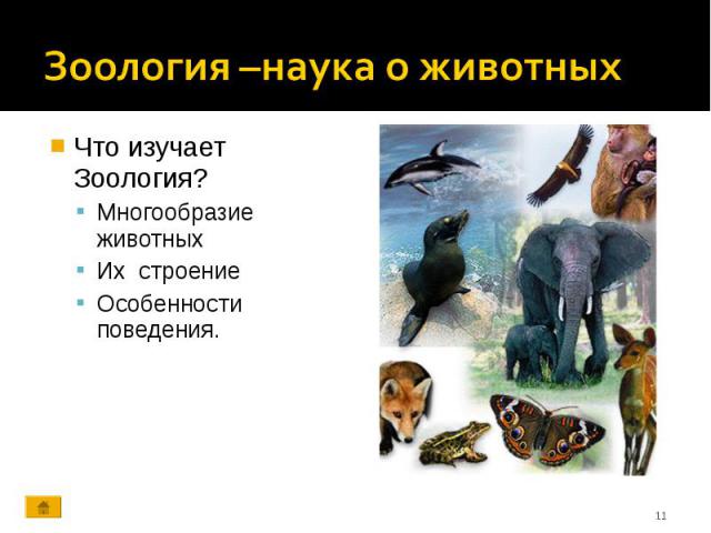 Что изучает Зоология? Что изучает Зоология? Многообразие животных Их строение Особенности поведения.