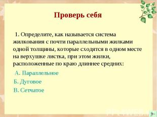 1. Определите, как называется система жилкования с почти параллельными жилками о