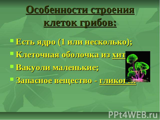 Особенности строения клеток грибов: Есть ядро (1 или несколько); Клеточная оболочка из хитина; Вакуоли маленькие; Запасное вещество - гликоген