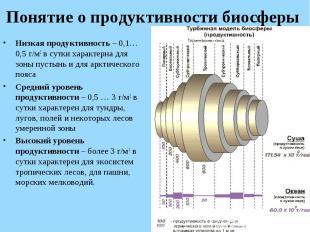 Низкая продуктивность – 0,1…0,5 г/м2 в сутки характерна для зоны пустынь и для а