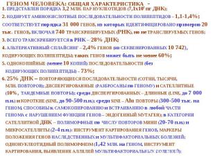 1. ПРЕДСТАВЛЕН ПОРЯДКА 3,2 МЛН. ПАР НУКЛЕОТИДОВ (7,1х109 пг ДНК); 1. ПРЕДСТАВЛЕН