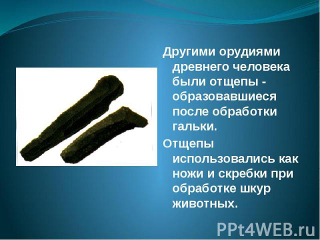 Другими орудиями древнего человека были отщепы - образовавшиеся после обработки гальки. Другими орудиями древнего человека были отщепы - образовавшиеся после обработки гальки. Отщепы использовались как ножи и скребки при обработке шкур животных.