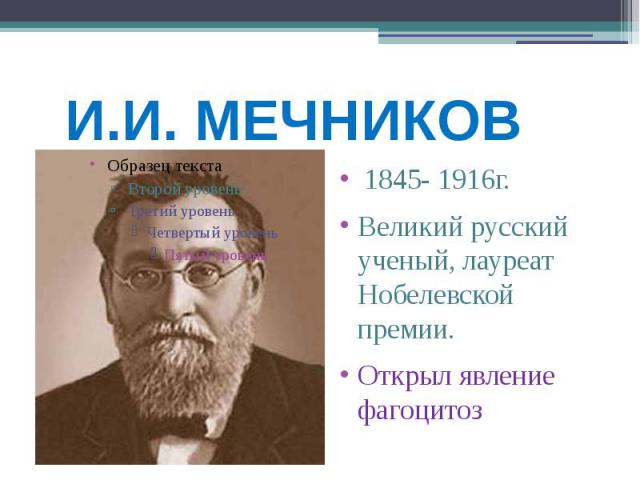 И.И. МЕЧНИКОВ 1845- 1916г. Великий русский ученый, лауреат Нобелевской премии. Открыл явление фагоцитоз