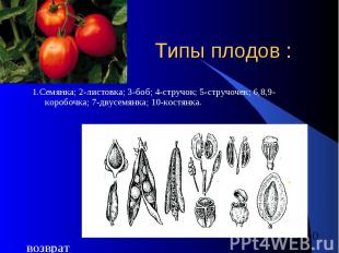 Типы плодов : 1.Семянка; 2-листовка; 3-боб; 4-стручок; 5-стручочек; 6,8,9-коробо
