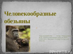 Человекообразные обезьяны Окружающий мир. Автор: Мартыненко М.В. Учитель начальн