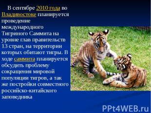 В сентябре 2010&nbsp;года во Владивостоке планируется проведение международного