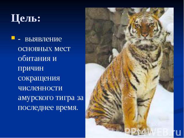 Цель: - выявление основных мест обитания и причин сокращения численности амурского тигра за последнее время.