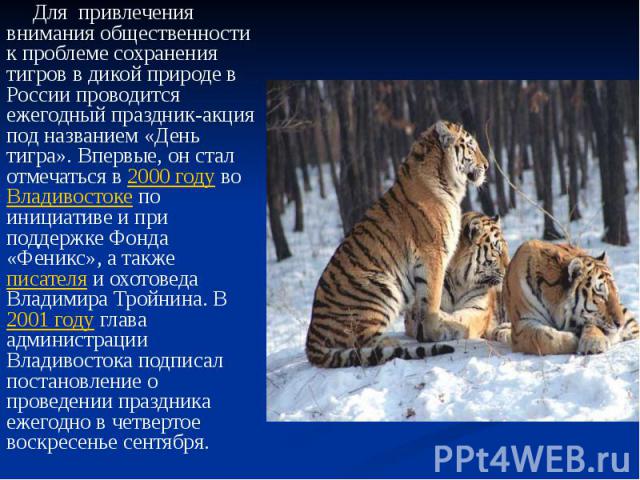 Для привлечения внимания общественности к проблеме сохранения тигров в дикой природе в России проводится ежегодный праздник-акция под названием «День тигра». Впервые, он стал отмечаться в 2000 году во Владивостоке по инициативе и при поддержке Фонда…