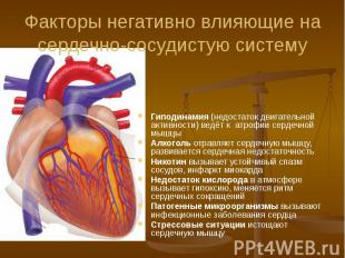 Факторы негативно влияющие на сердечно-сосудистую систему Гиподинамия (недостато