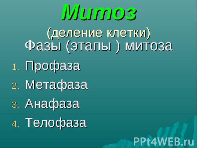 Фазы (этапы ) митоза Фазы (этапы ) митоза Профаза Метафаза Анафаза Телофаза