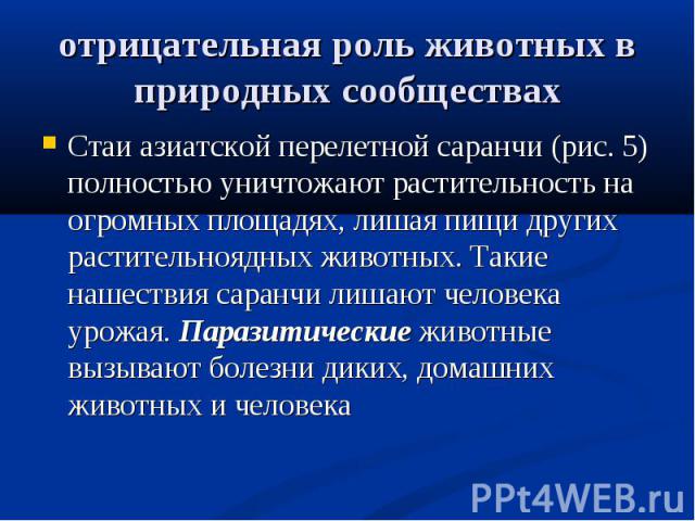 Стаи азиатской перелетной саранчи (рис. 5) полностью уничтожают растительность на огромных площадях, лишая пищи других растительноядных животных. Такие нашествия саранчи лишают человека урожая. Паразитические животные вызывают болезни диких, домашни…