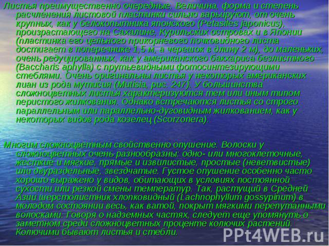 Листья преимущественно очередные. Величина, форма и степень расчленения листовой пластинки сильно варьируют, от очень крупных, как у белокопытника японского (Petasites japonicus), произрастающего на Сахалине, Курильских островах и в Японии (пластинк…