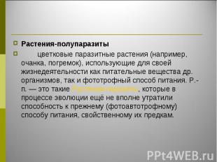 Растения-полупаразиты Растения-полупаразиты &nbsp;&nbsp;&nbsp;&nbsp;&nbsp;&nbsp;