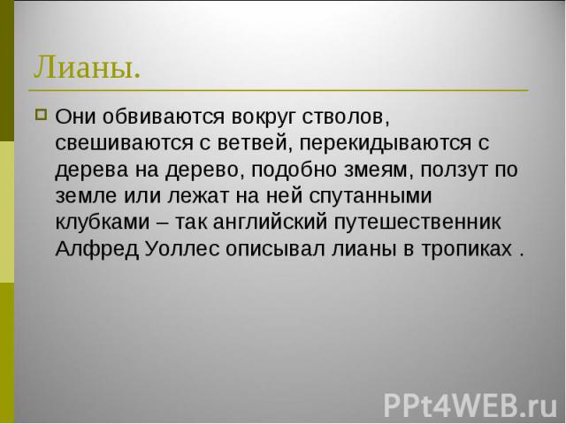 Они обвиваются вокруг стволов, свешиваются с ветвей, перекидываются с дерева на дерево, подобно змеям, ползут по земле или лежат на ней спутанными клубками – так английский путешественник Алфред Уоллес описывал лианы в тропиках . Они обвиваются вокр…