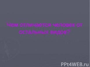 Чем отличается человек от остальных видов? Чем отличается человек от остальных в