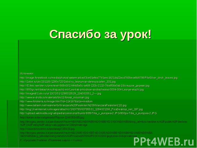 Источники: Источники: http://image.forestbook.ru/media/photos/watermarked/3ce01efea7741eec1621da22ecd760bece8d6786/FileSilver_birch_leaves.jpg http://2oboi.ru/pic/201105/1280x720/2oboi.ru_les-tuman-derevya-zelen_331.jpg http://f2.foto.rambler.ru/pre…