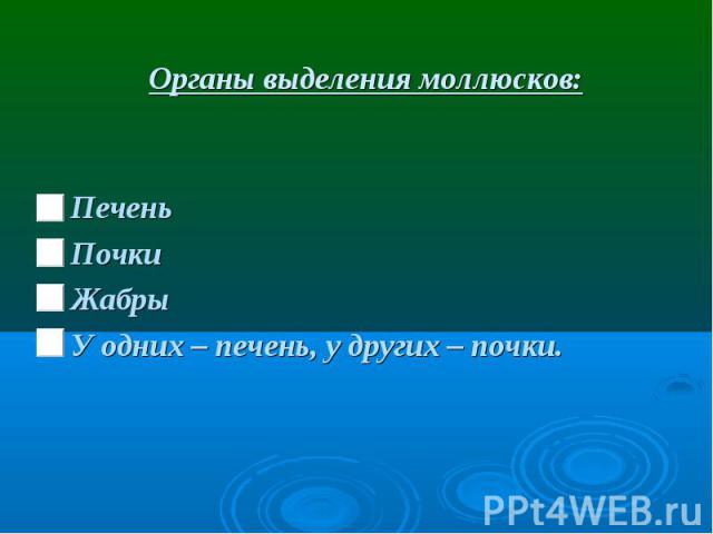 Органы выделения моллюсков: Печень Почки Жабры У одних – печень, у других – почки.