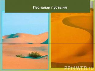 Песчаная пустыня