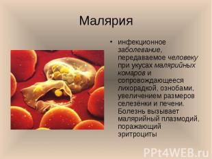 инфекционное заболевание, передаваемое человеку при укусах малярийных комаров и