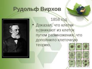 Рудольф Вирхов 1858 год Доказал, что клетки возникают из клеток путем размножени