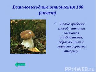 Белые грибы по способу питания являются симбионтами, образующими с корнями дерев