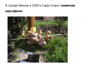 В городе Минске в 2000-х годах открыт памятник картофелю