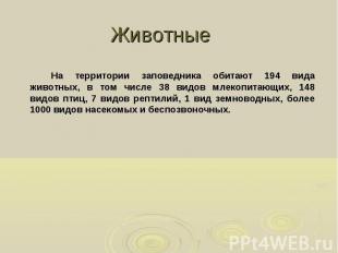 На территории заповедника обитают 194 вида животных, в том числе 38 видов млекоп