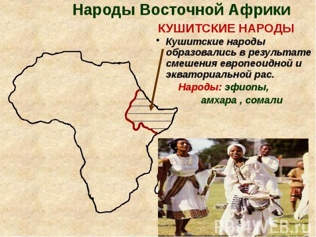 Народы Восточной Африки КУШИТСКИЕ НАРОДЫ Кушитские народы образовались в результате смешения европеоидной и экваториальной рас. Народы: эфиопы, амхара , сомали