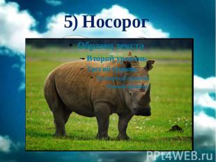 5) Носорог
