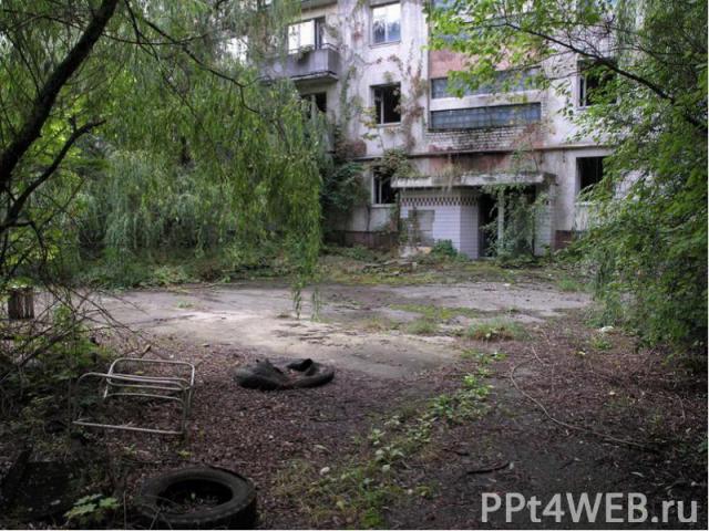 Чернобыль - это самый эффективный "заповедник".
