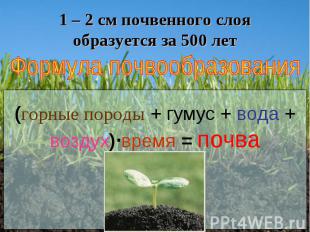 1 – 2 см почвенного слоя образуется за 500 лет