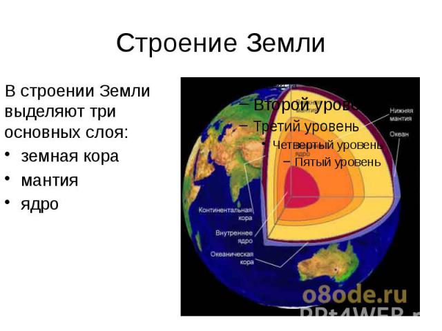Строение Земли В строении Земли выделяют три основных слоя: земная кора мантия ядро