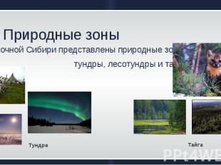 Природные зоны В Восточной&nbsp;Сибири&nbsp;представлены&nbsp;природные&nbsp;зон