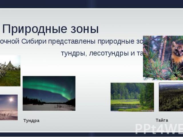 Природные зоны В Восточной Сибири представлены природные зоны   тундры, лесотундры и тайги .