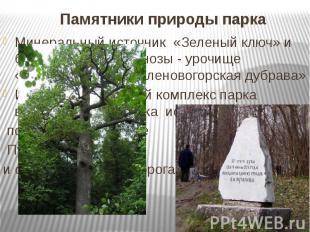 Памятники природы парка Минеральный источник «Зеленый ключ» и ботанические геоце