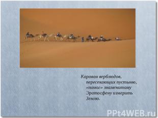 Караван верблюдов, пересекающих пустыню, «помог» знаменитому Эратосфену измерить
