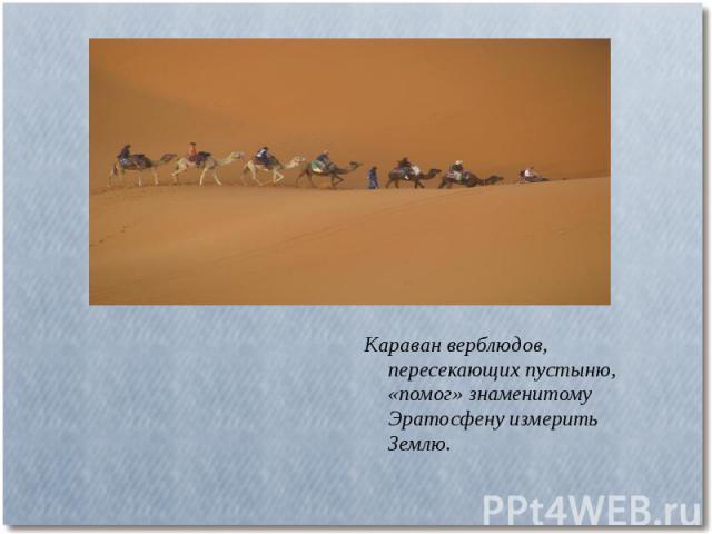 Караван верблюдов, пересекающих пустыню, «помог» знаменитому Эратосфену измерить Землю.
