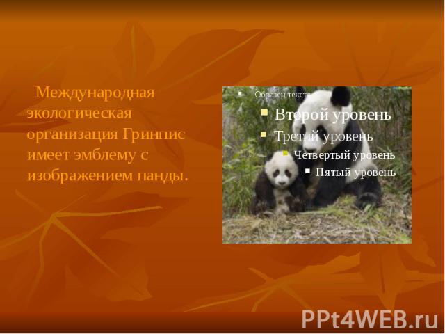 Международная экологическая организация Гринпис имеет эмблему с изображением панды. Международная экологическая организация Гринпис имеет эмблему с изображением панды.